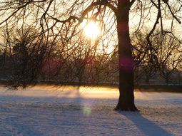 Photo1